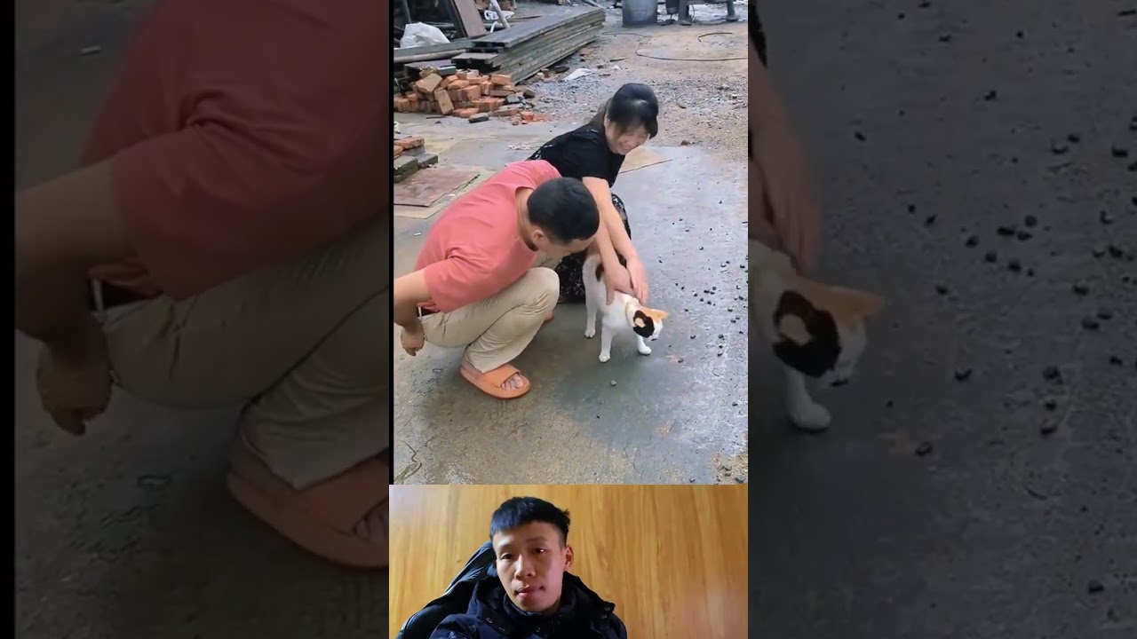 Người vợ khéo léo 