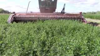 Swather Attack-DIY Duke @diyduke
