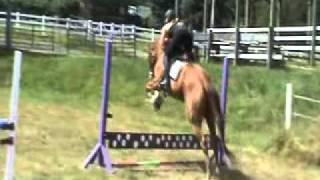 Blue2.wmv