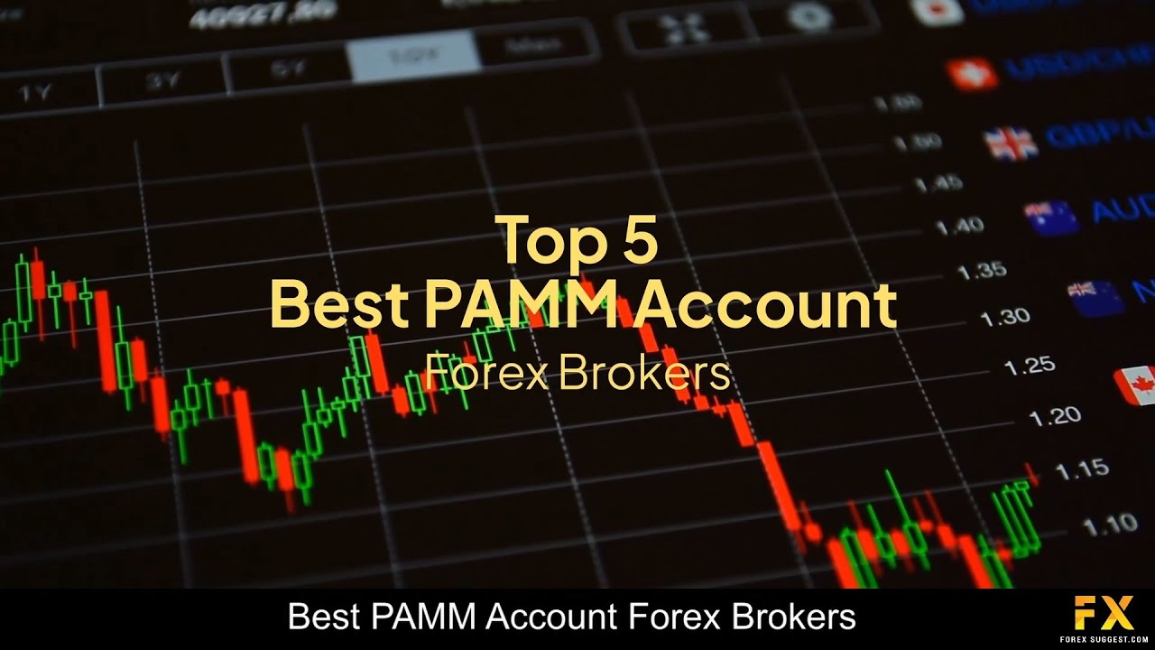 Best PAMM Account Forex Brokers📈