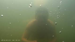 Зиган под водой