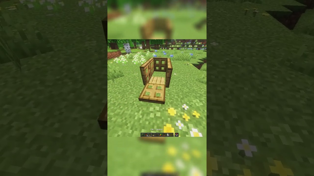 Minecraft : Rabbit trap💀