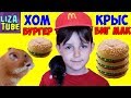 Mcdonald's для животных Хомячок и Крыски жуют 🍔 #Гамбургер Лиза и питомцы LizaTube burger for rats