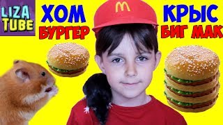 Mcdonald's для животных Хомячок и Крыски жуют 🍔 #Гамбургер Лиза и питомцы LizaTube burger for rats