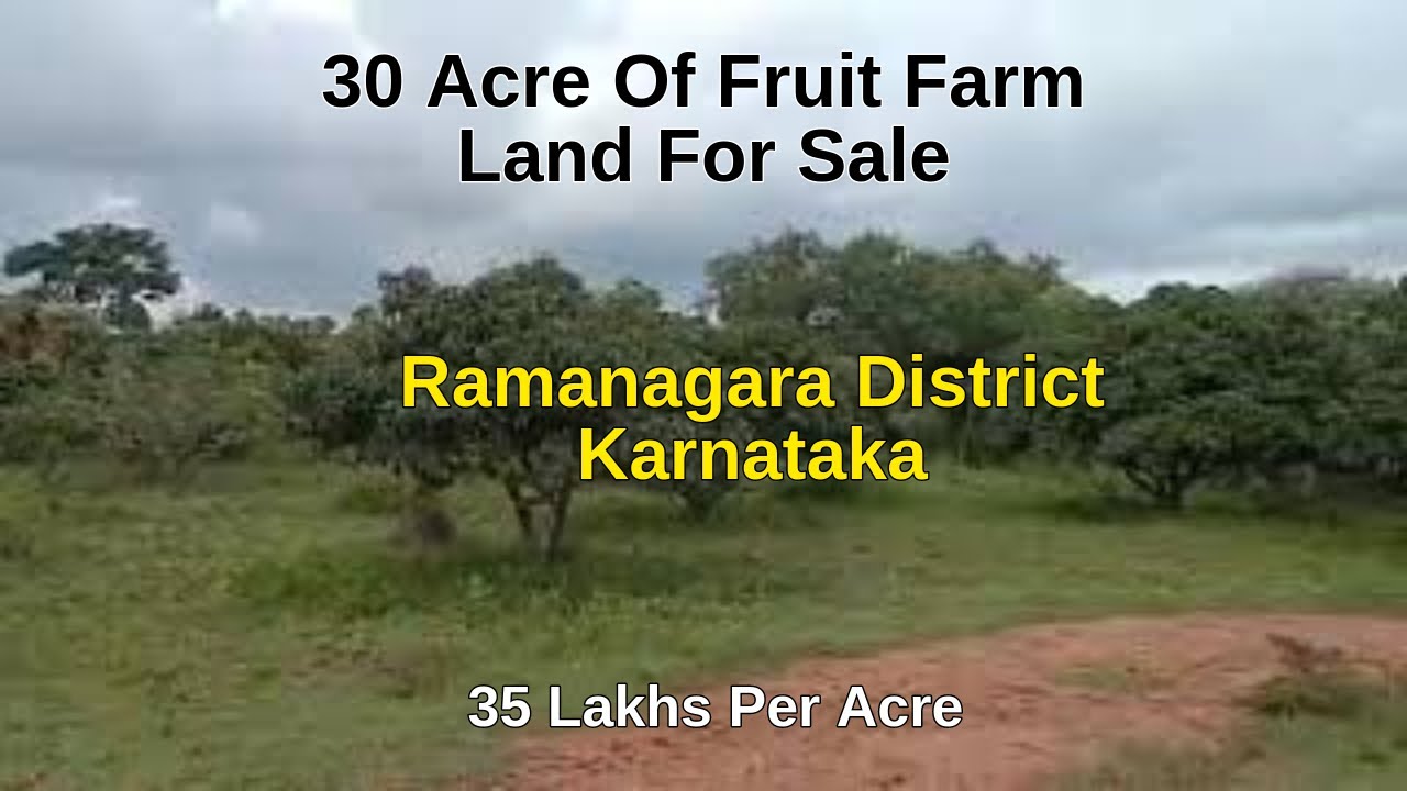 Karnataka 30 Acre of Fruit Farm Land for sale located at