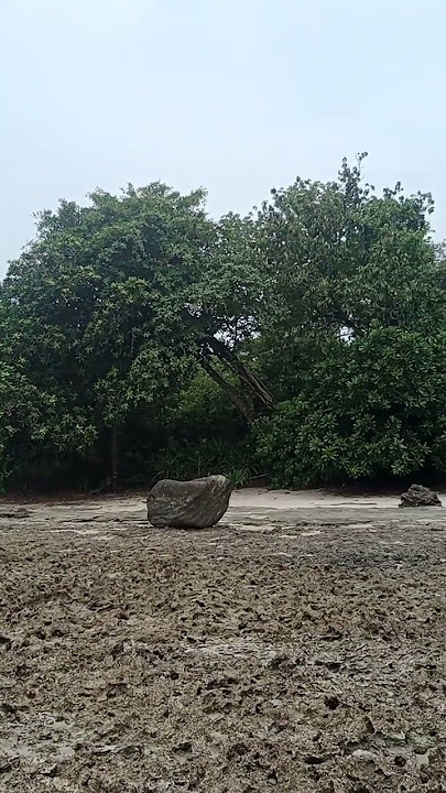 Karang gajah #sancang