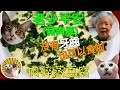 [香港食譜] 老少平安 (豬肉版) - 豆腐蒸肉碎 | 廣東話