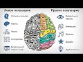 &quot;Гимнастика Мозга&quot; - презентация для родителей и педагогов.