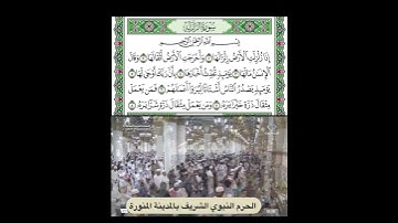 سورة الزلزلة قراءة الشيخ عبدالمحسن القاسم