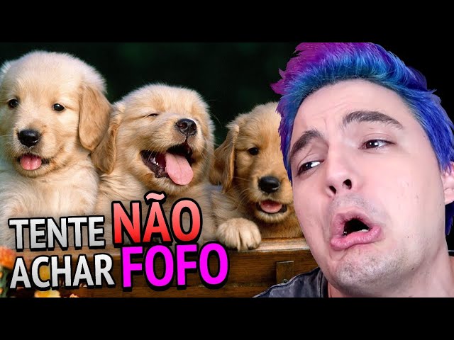 Olaaaa fofos e fofas bem vindos a o r/fofas33952 : r/Felipe_neto