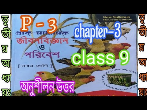 ভিডিও: IBAN - এটা কি? ব্যাঙ্কের IBAN নম্বর বলতে কী বোঝায়?