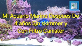 Mi Acuario Marino Después De 4 años Sin Skimmer y Con Filtro Canister