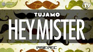 Watch Tujamo Hey Mister video