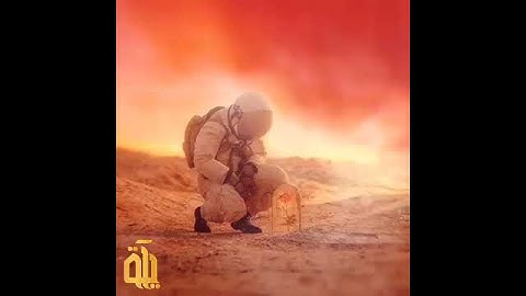 راحة نفسية لاتوصف💚//خالد الجليل//🎧حالات وتس اب قران كريم/ حالات وتس اب راحة القلب❤والذين يقولون ربنا