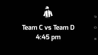 Pubg Tournament Team C Vs Team D Flavern Fionix