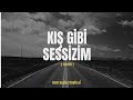 Kış Gibi Sessizim Buz Tuttu Şehrim Anatolian Arabesque Psychedelic Rock Cover Kış Gibi Sessizim Buz Tuttu Şehrim Anatolian Arabesque Psychedelic Rock Cover