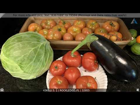 4365 U.S. 1, Rockledge, FL home video tour