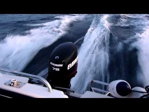 Evinrude E TEC 75 pk