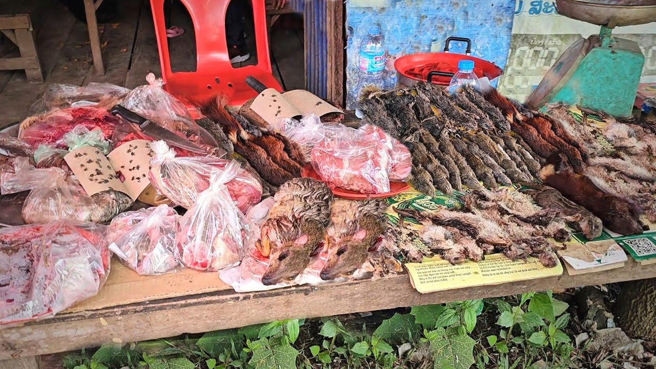 พากินพาเที่ยวชมวิถีชีวิตช่องตาอูประเทศลาว