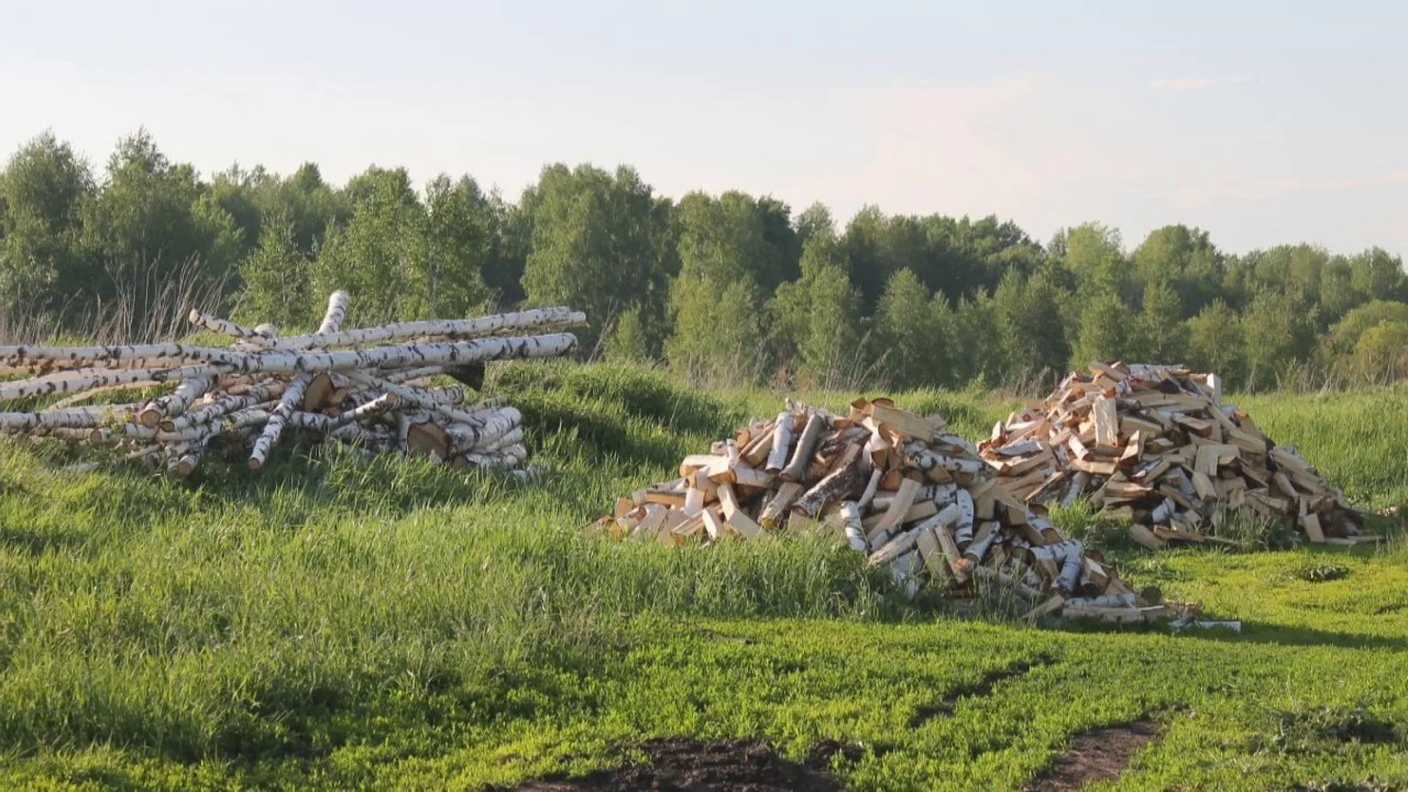Деревня нива омская область