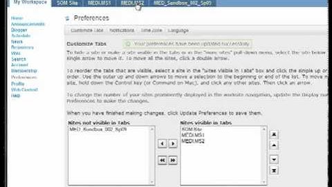 Modifying Sakai - Changing Your Site Tabs