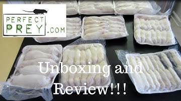 PerfectPrey.Com Frozen Rodent Unboxing - Benjamin