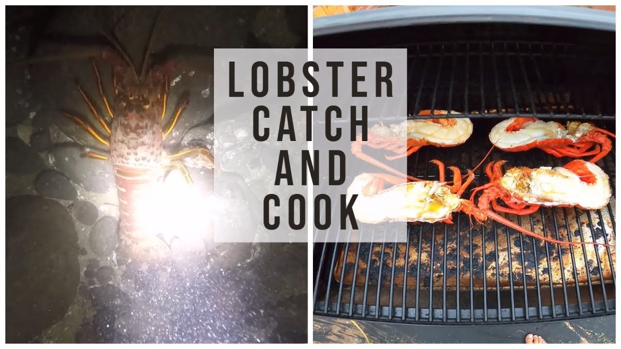 LOBSTER Catch & Cook on the Traeger Grill | California Spiny Lobster Freediving - YouTube