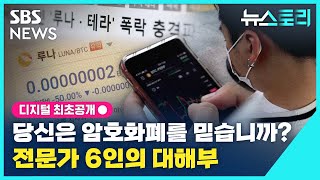 [뉴스토리] 당신은 암호화폐를 믿습니까?…전문가 6인의 대해부 / SBS