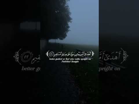 صوت جميل وهادئ للقارئ عبدالله احمد شعبان قرآن تلاوة هادئة اكسبلور  صوت جميل وهادئ للقارئ عبدالله احمد شعبان قرآن تلاوة هادئة اكسبلور