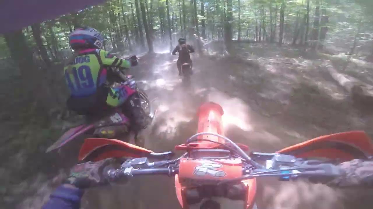 AWRCS 2025 the forest vet c row 9