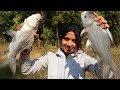 Fishing & Cooking by Limu | বাড়ির পুকুরের জ্যান্ত কাতলা ভাজা সাথে আছে গরম ভাত আলু মাখা ডাল