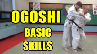 OGOSHI BASIC SKILLS Net Worth