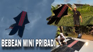 COVER PROCESS AND FLIGHT TEST OF MY MINI BEBEAN GUYS