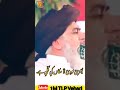 ابوبکر فاروق عثمان علی ہے Poetry By Allama Khadim Hussain Rizvi New TLP Status Shorts Viral 