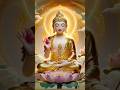 बुद्धम शरणम गच्छामि #music #song #love #motivation #gautambudhastory #gautambuddha #gautam#buddhansh