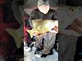 Beautiful! #fishing #icefishing #crappiefishing #fyp #foryoupage
