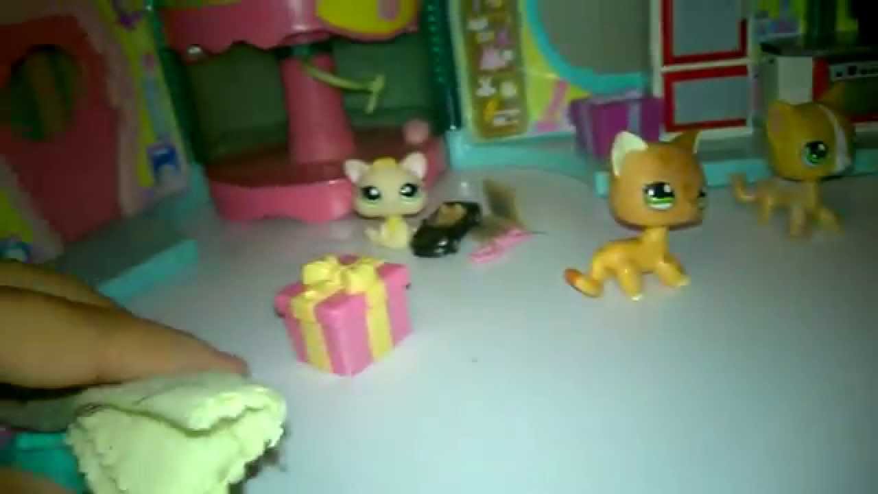 Lps Le Noel De La Famille Chat Youtube