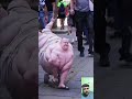اه يازمن على اللي محدش حس بينا اه يازمن على اللي محدش حس بينا