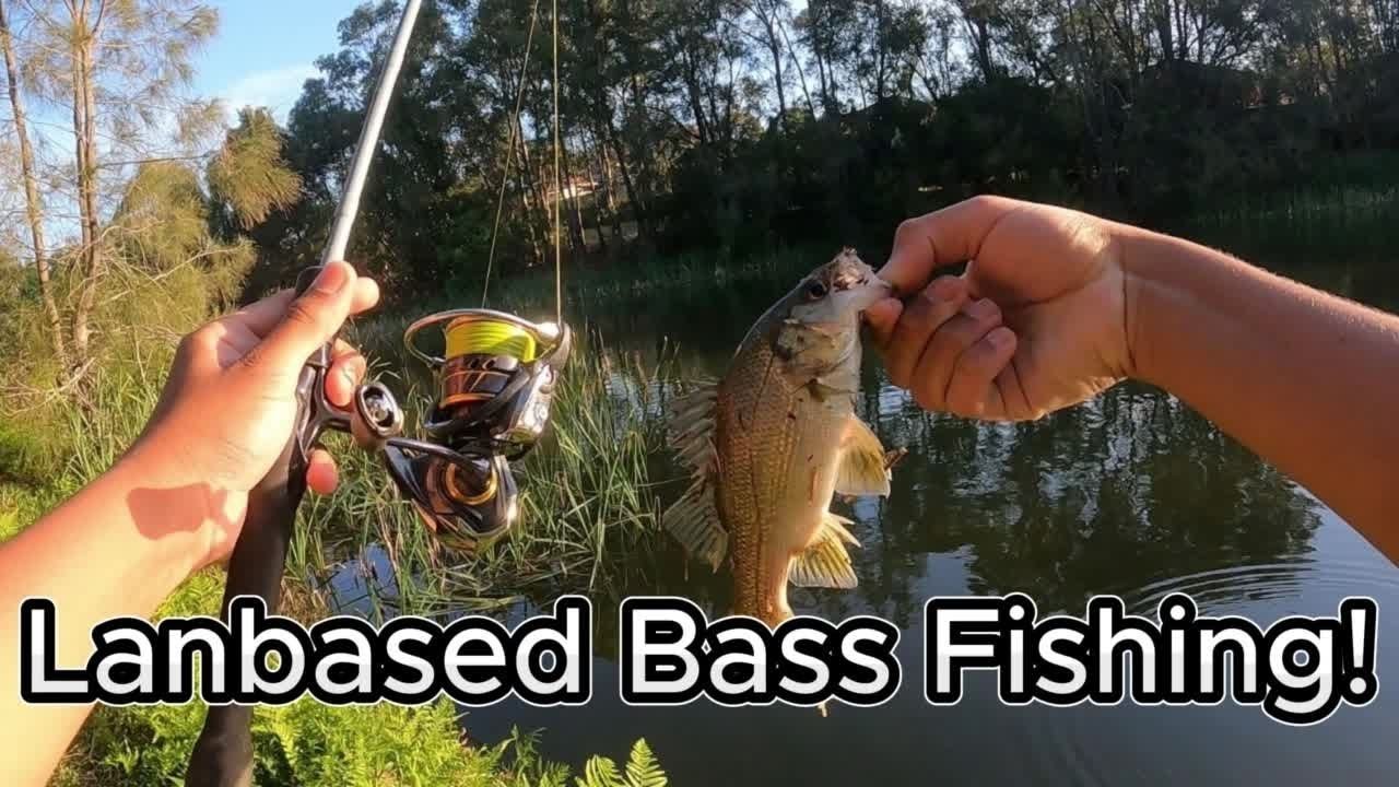 Landbased Aussie Bass Fishing In Newcastle!