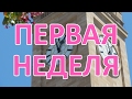 021 Первая неделя