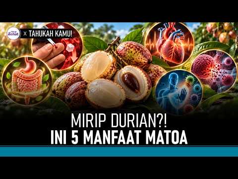 5 Health Benefits of Matoa Fruit and Its Unique Flavor