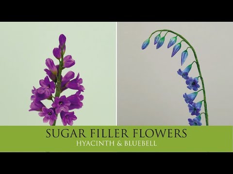 Vídeo: Bluebell Flowers - Informações crescentes para campainhas inglesas e espanholas