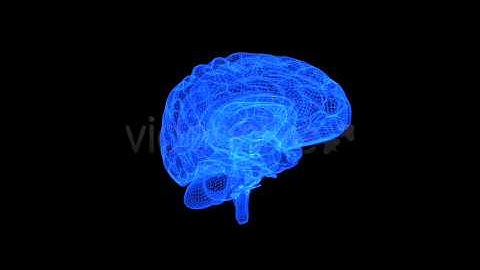 Brain - 3D Wireframe - Spinning Formation