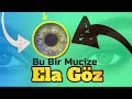 Bu bir mucize  gz renginiz deiir mi   ela gz 