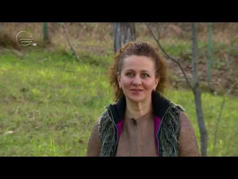 მაია მხეიძე | ,,ცოდნა ფულიას\" მოთამაშე