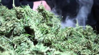 Mendo Dope-"We Drop Dank" (Official Music Video)