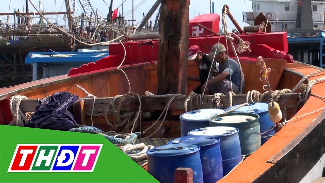 Đà Nẵng: Ngư dân gặp khó vì giá dầu tăng cao | THDT