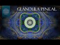 VIAJE FRACTAL SONORO - VISUAL | Intensa Focalización de GLANDULA PINEAL