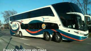 Pasion Busologa Vip Clas