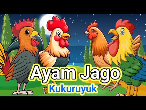 Lagu Anak 🇮🇩 Kuku Kukuruyuk - Lagu Ayam Jago Dan pok Ame Ame Cilukba - Lagu Anak Indonesia